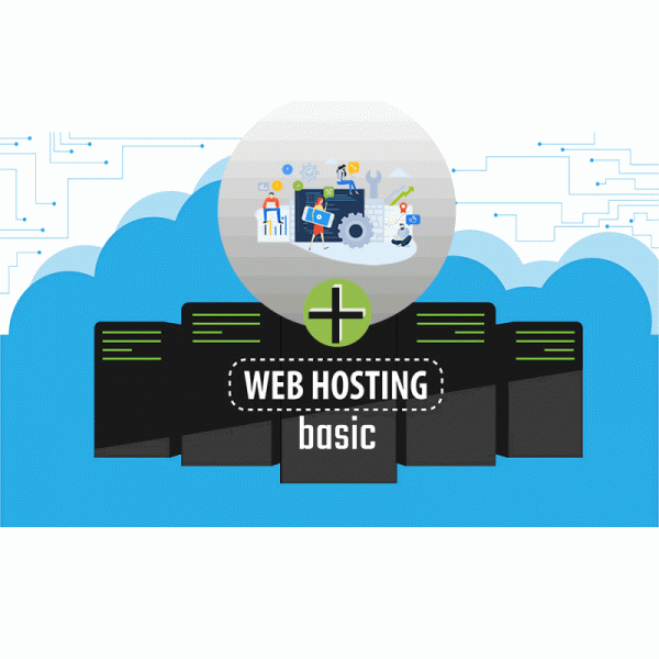 Combo WebSite Up + Hosting