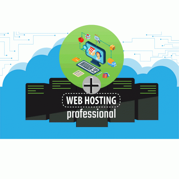 Combo E-commerce Up + Hosting
